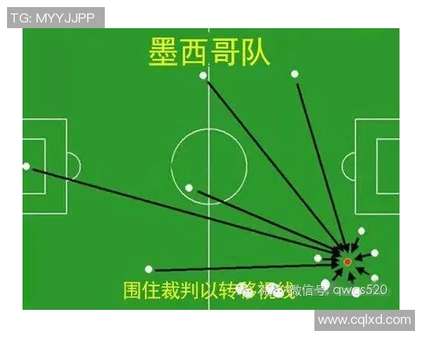 北京排球队世界杯战术分析与表现评估探讨